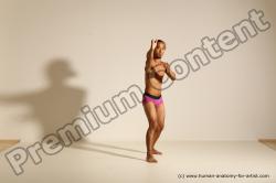 Elmer - Traditional Korean Art